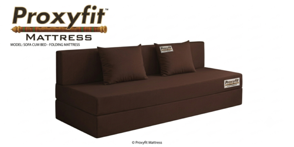 Proxyfit Premium Sofa Cum Bed