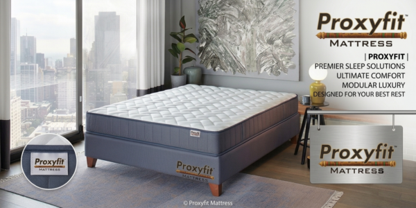 Proxyfit Back Care Mattress